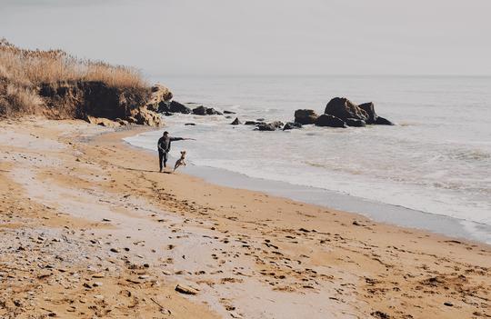 Summertime image
