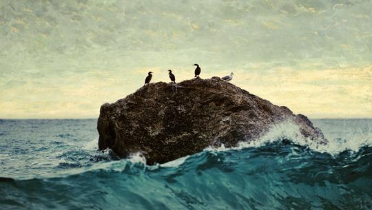 Seaside  Artistic  Collection image