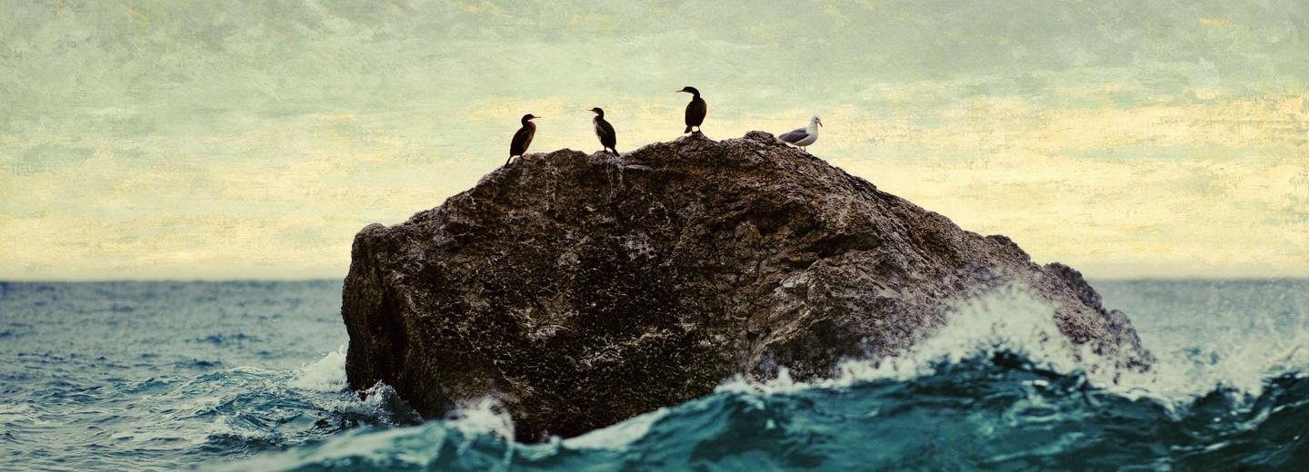 Seaside  Artistic  Collection — slide 3