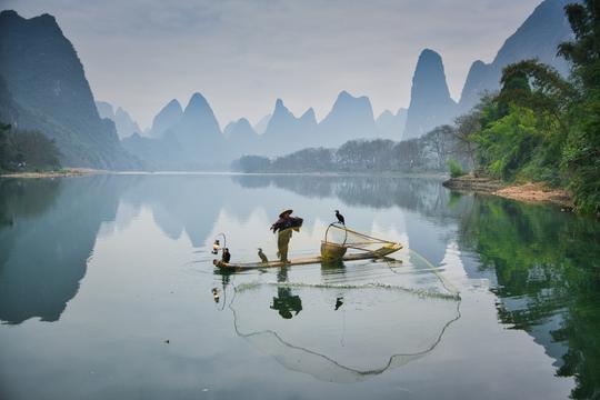 Four Seasons image