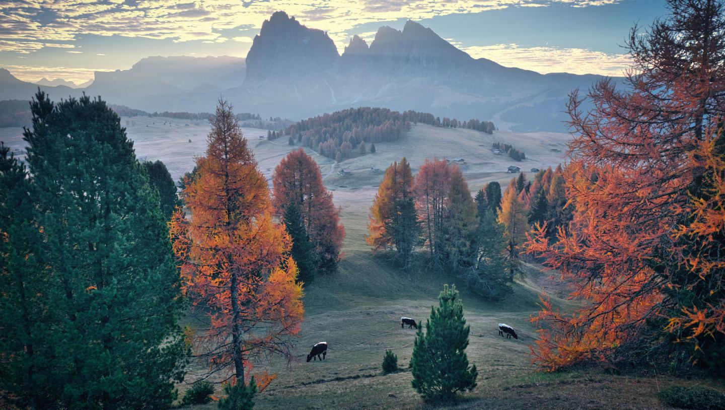 Ultimate Autumn Collection — slide 2