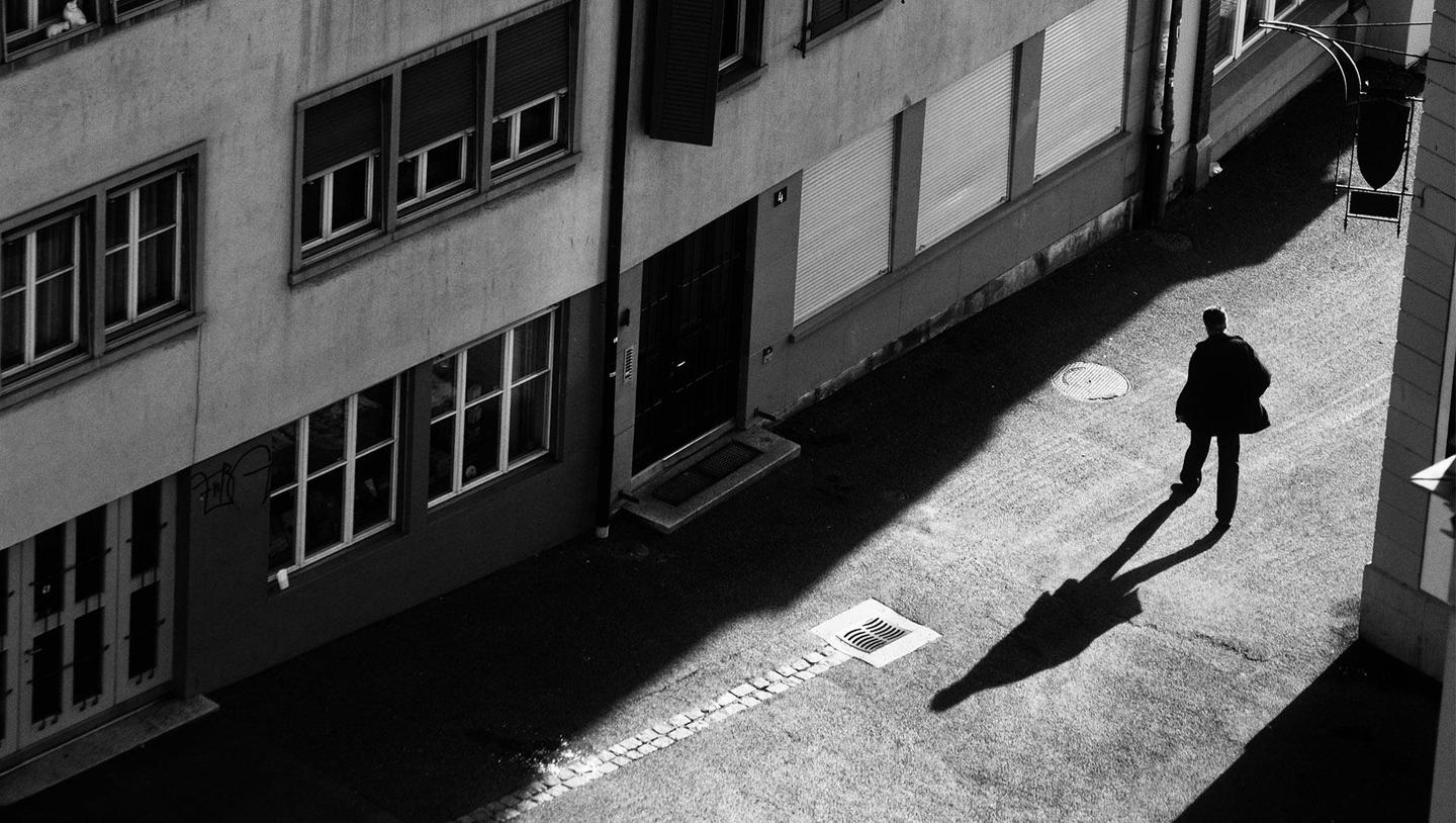 Urban Jungle — slide 2
