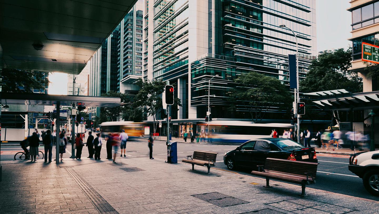Urban Jungle — slide 3