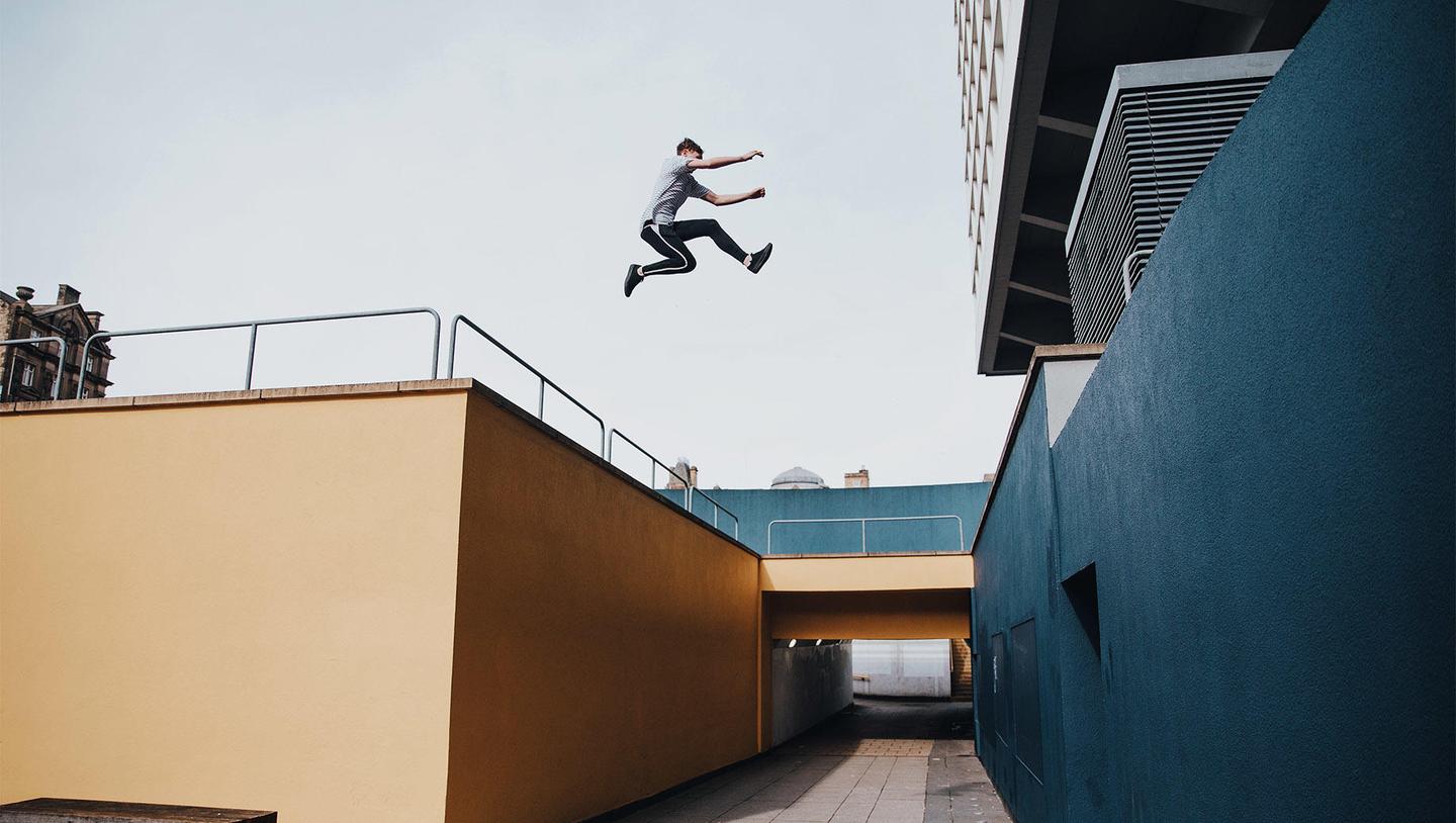 Urban Jungle — slide 4