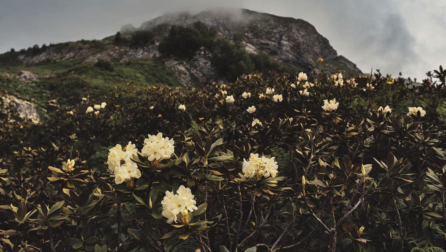 Suspenseful Landscapes — slide 3