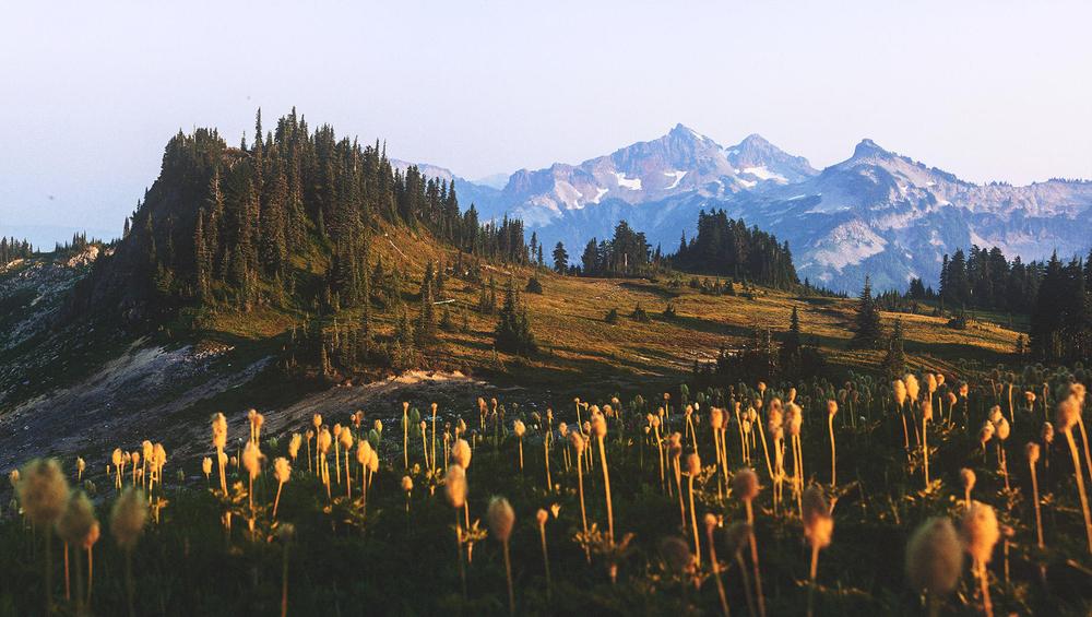 Story illustration