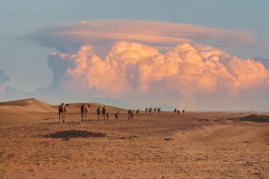 Equatorial Wonders Part II  image