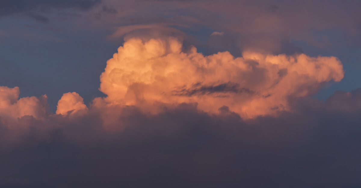 Equatorial Wonders Part II | Luminar Marketplace(51)