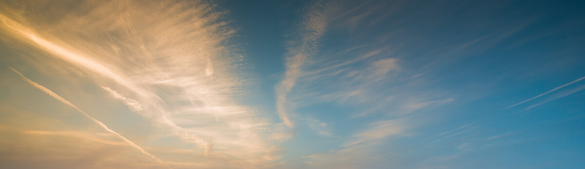 Universal Horizons | Luminar Marketplace(56)