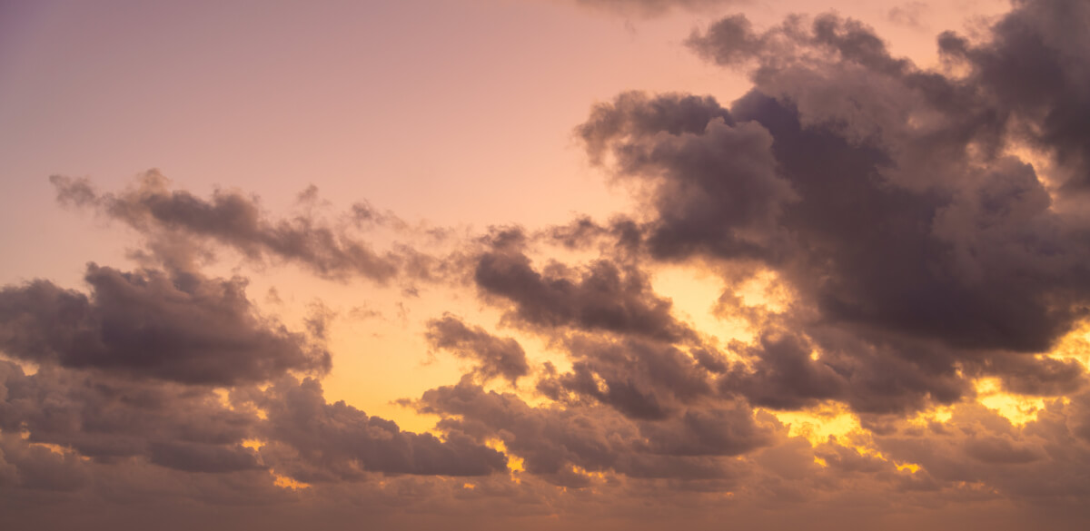 Universal Horizons | Luminar Marketplace(58)