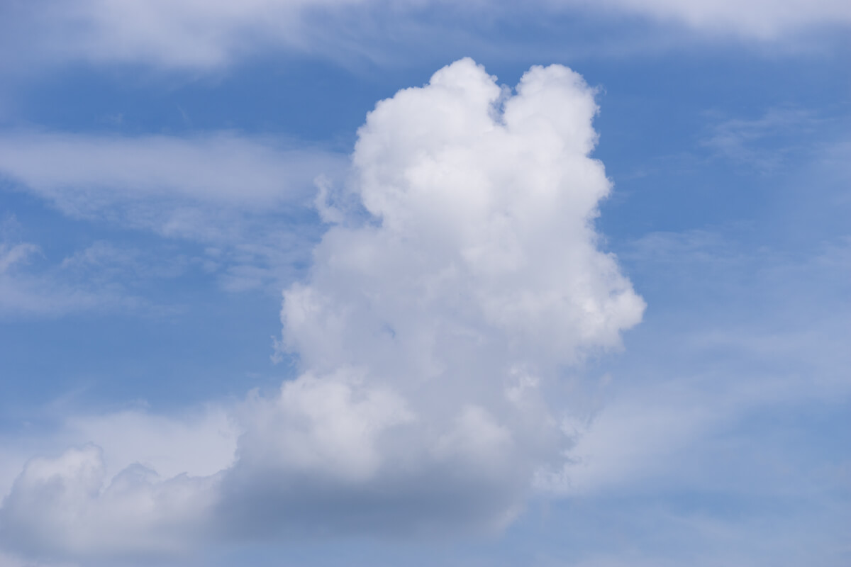 Vreedzame Luchten(54)