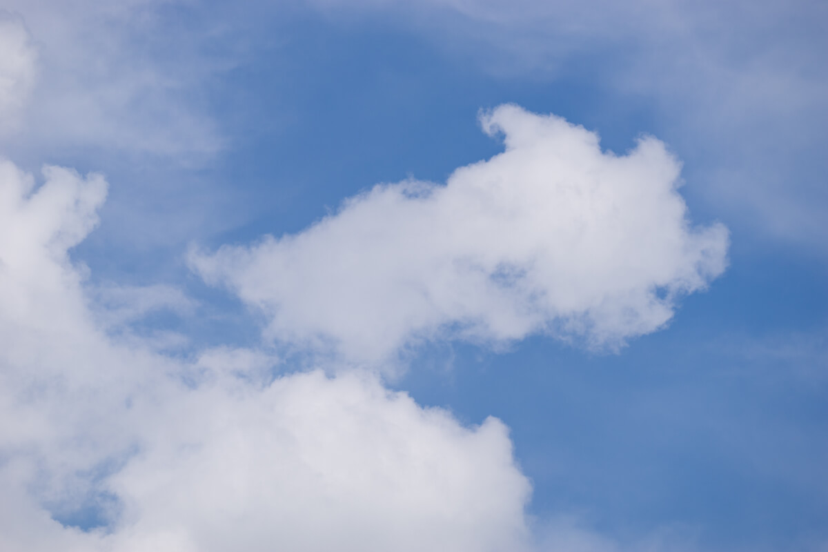 Vreedzame Luchten(55)