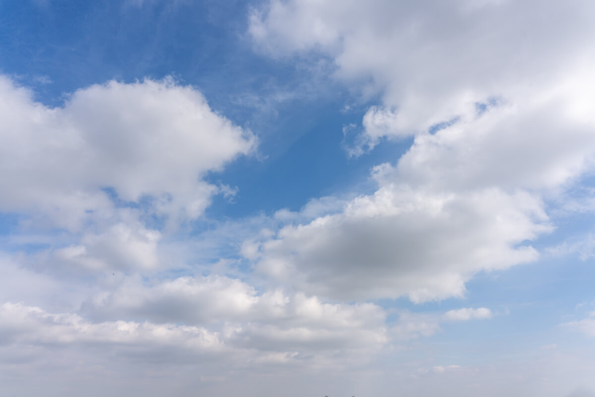 Vreedzame Luchten(65)