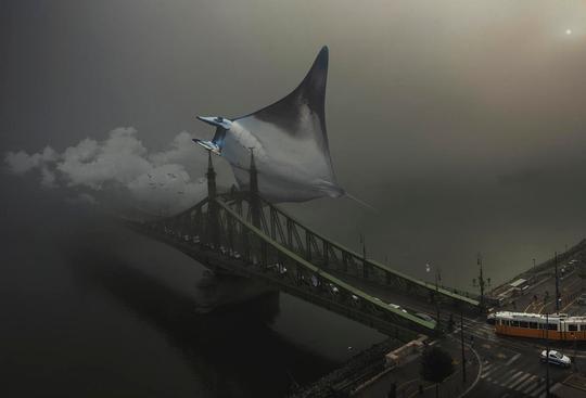 Sea Dreamworld  image