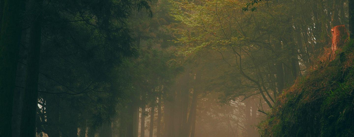 Spring Adventure LUTs — slide 2
