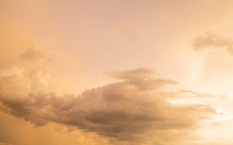 Skies included in the pack(6)