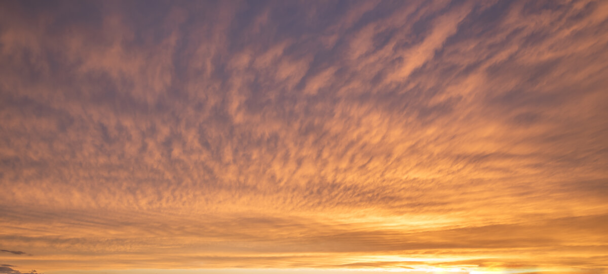 Dark Times | Luminar Marketplace(48)