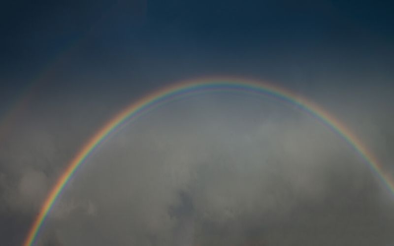 Skies included in the pack