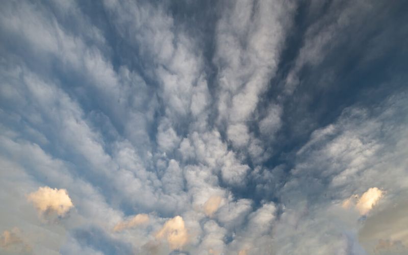 Skies included in the pack(2)