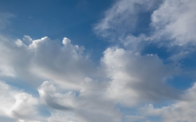 Skies included in the pack(7)