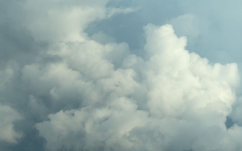 Skies included in the pack(10)