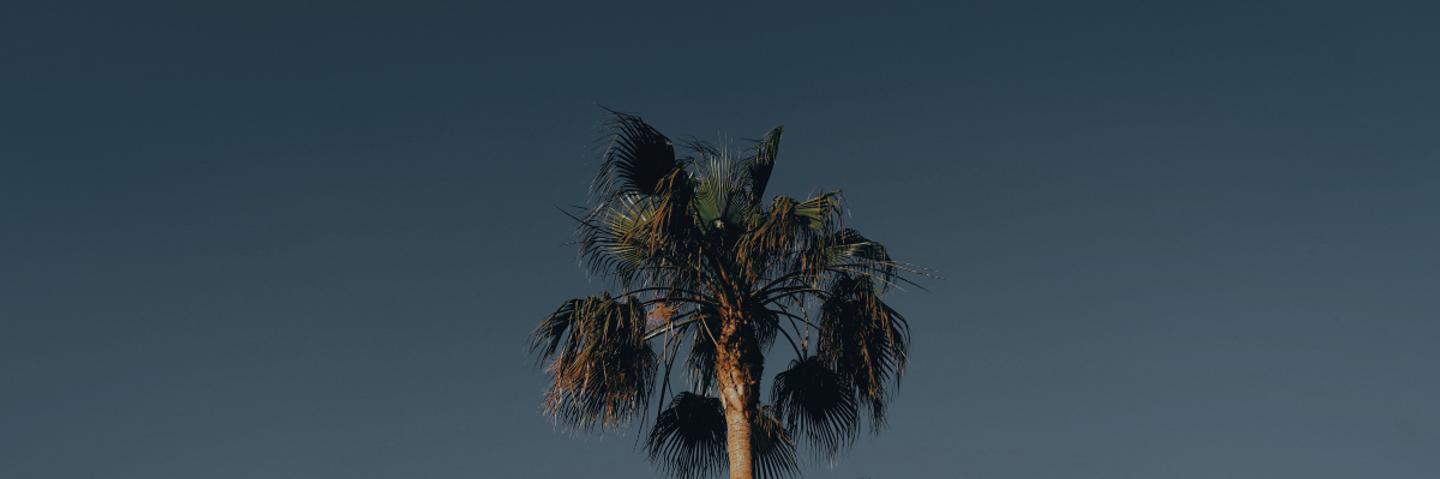 Emerald Forest LUTs — slide 3