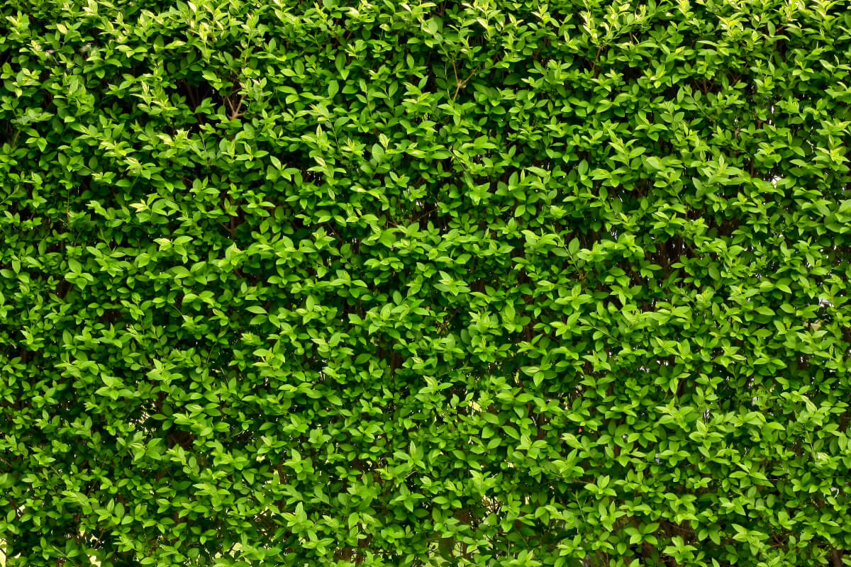 Mixed Backgrounds is a photo enhancement asset for Luminar(48)