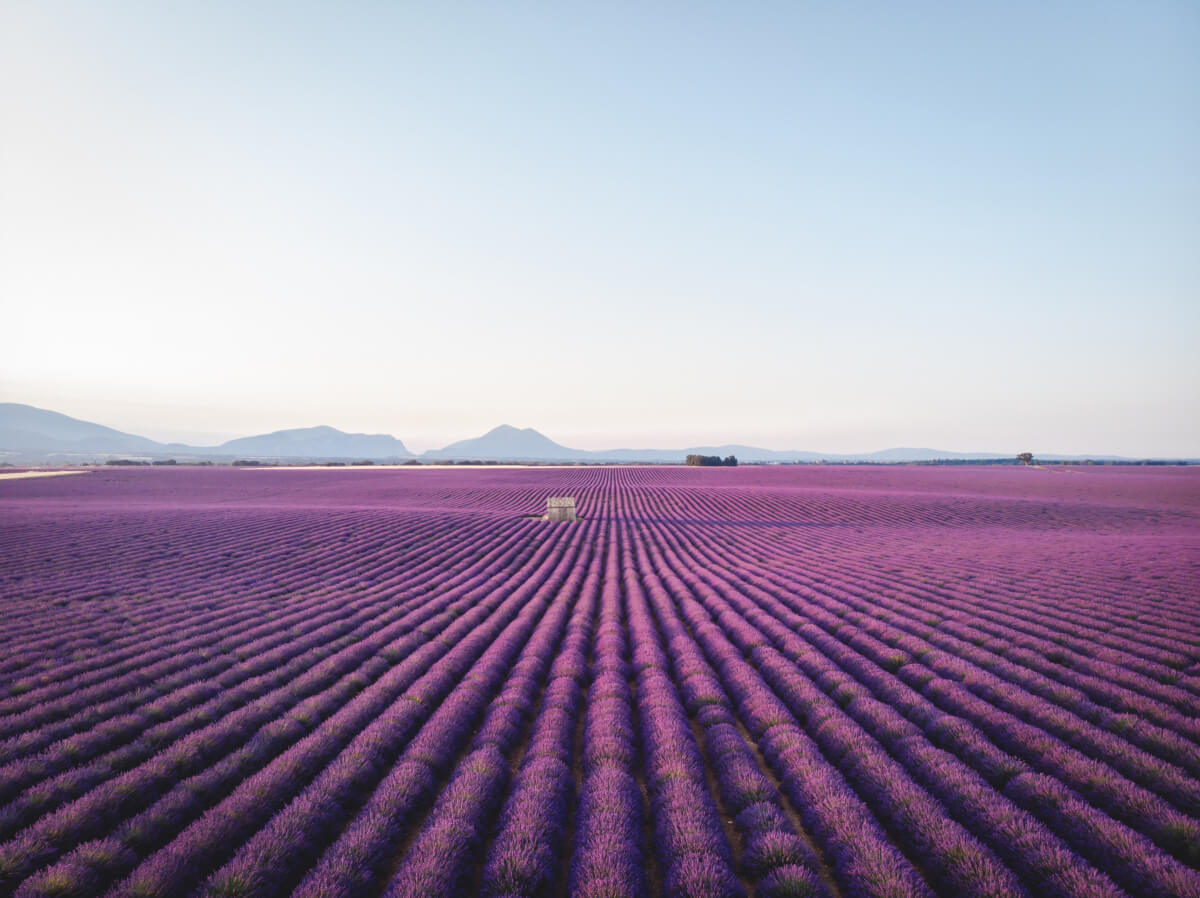 Mixed Backgrounds is a photo enhancement asset for Luminar(50)