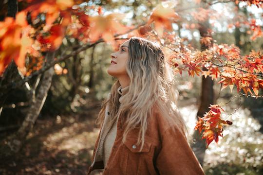 Splashes of Color LUTs image
