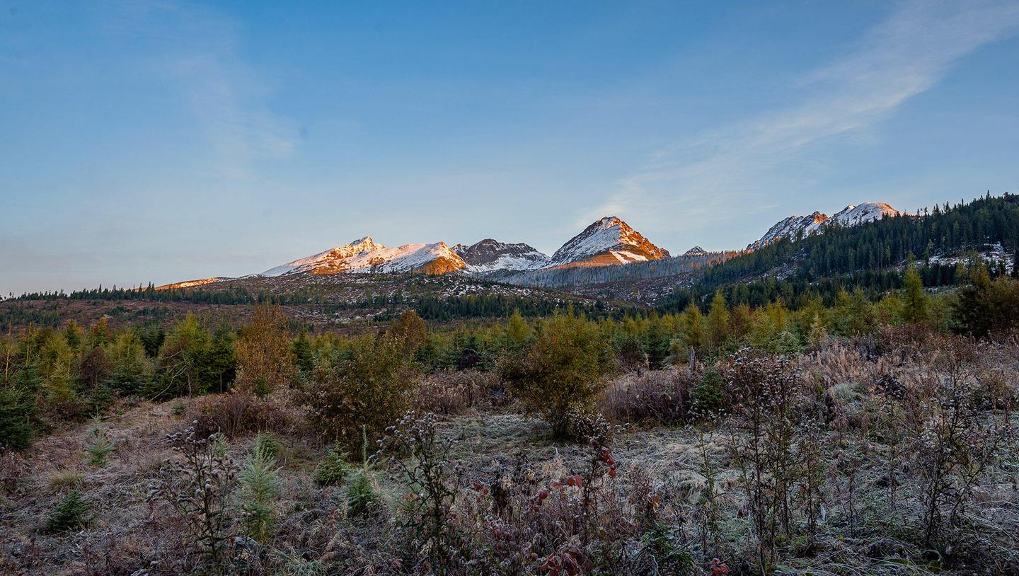 Mountains In Bloom — slide 3