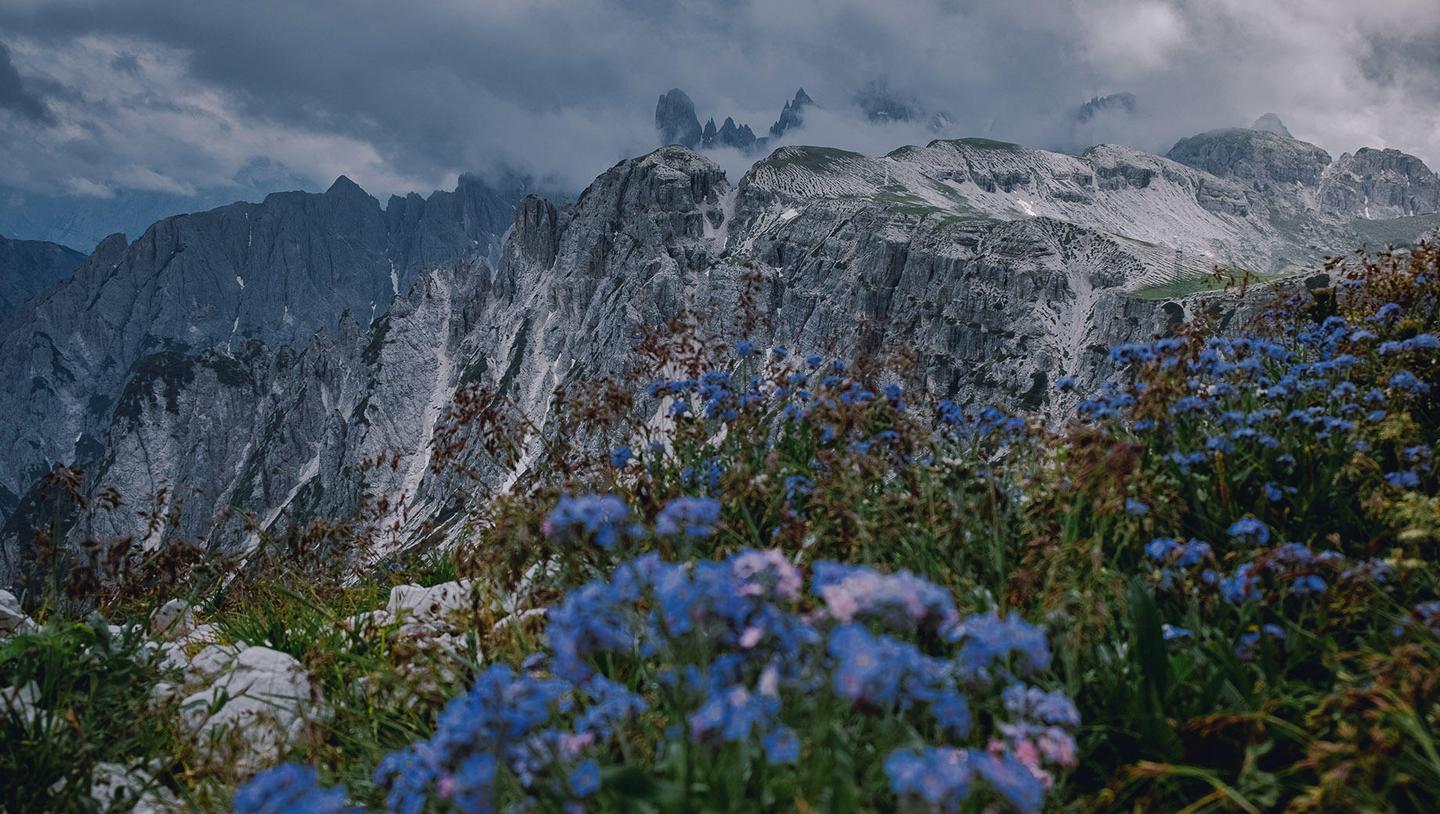 Mountains In Bloom — slide 1