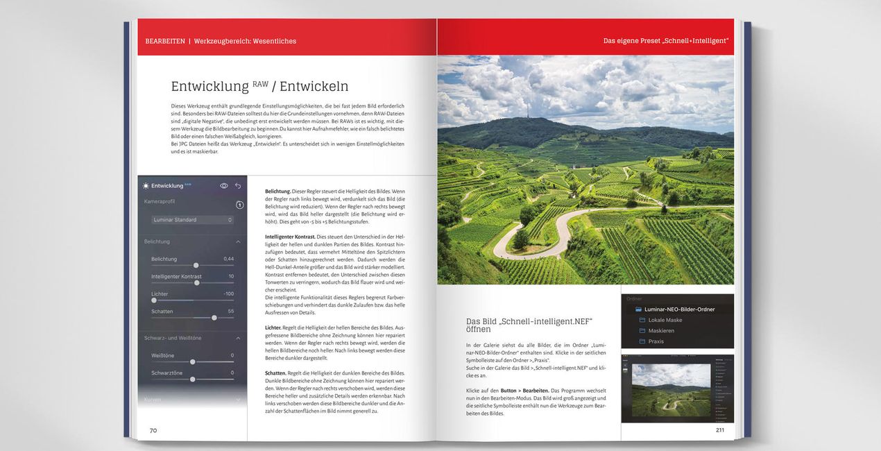 Bildbearbeitung mit Luminar Neo: Das Praxis Handbuch(41)