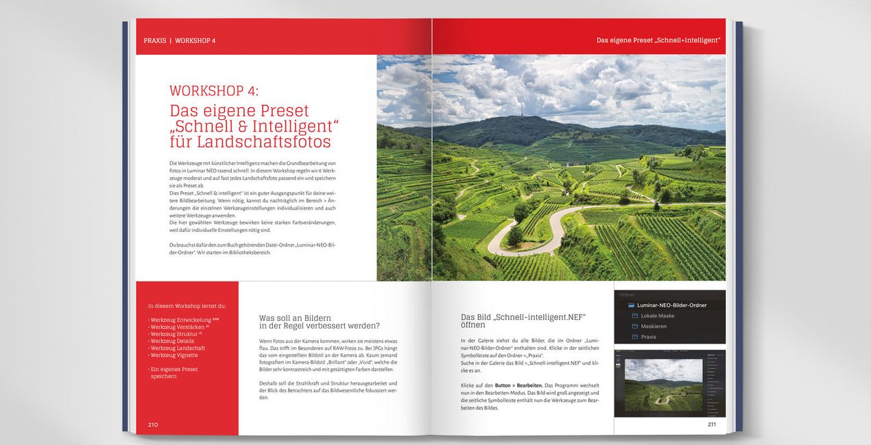 Bildbearbeitung mit Luminar Neo: Das Praxis Handbuch | Luminar Marketplace(45)