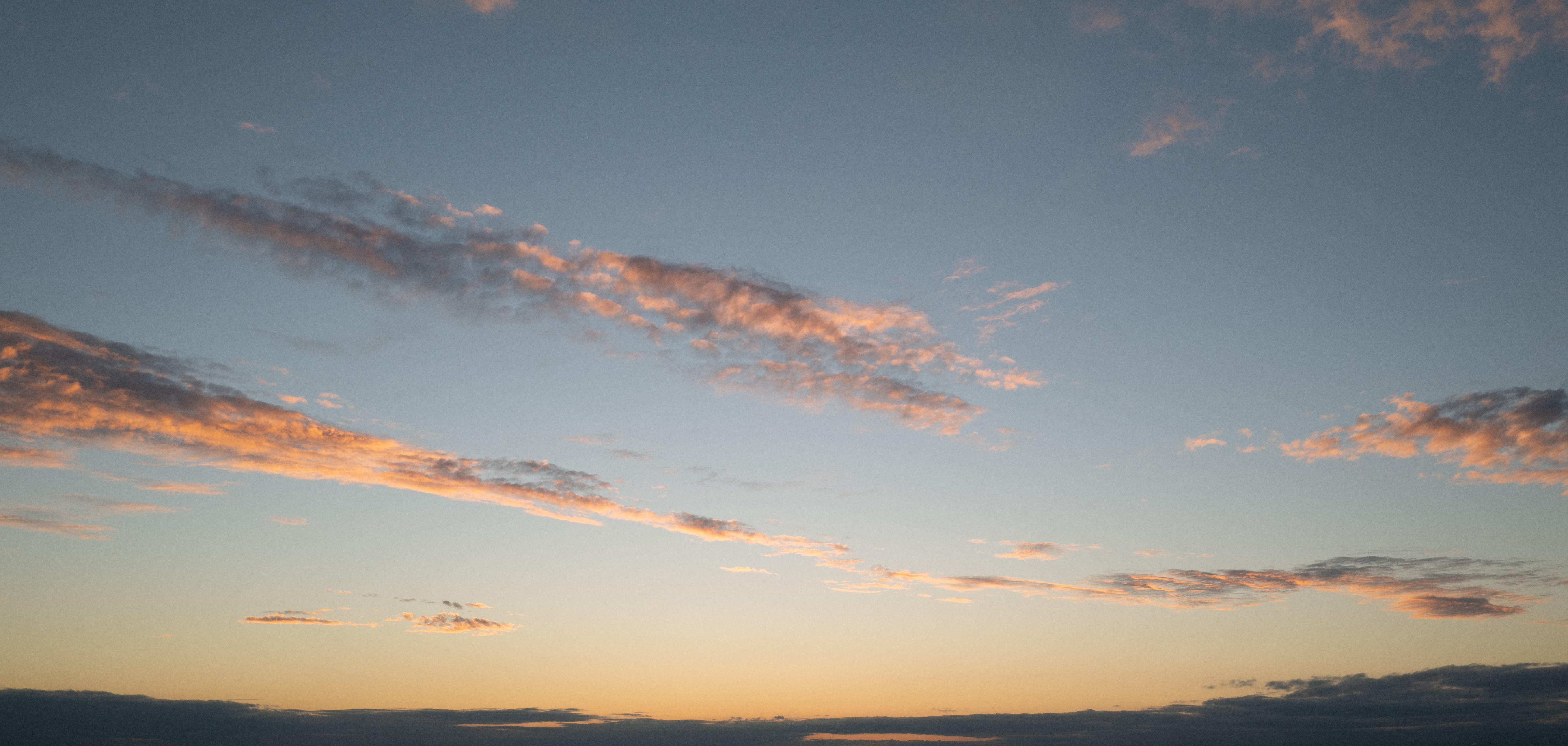 Freedom Skies | Luminar Marketplace(56)