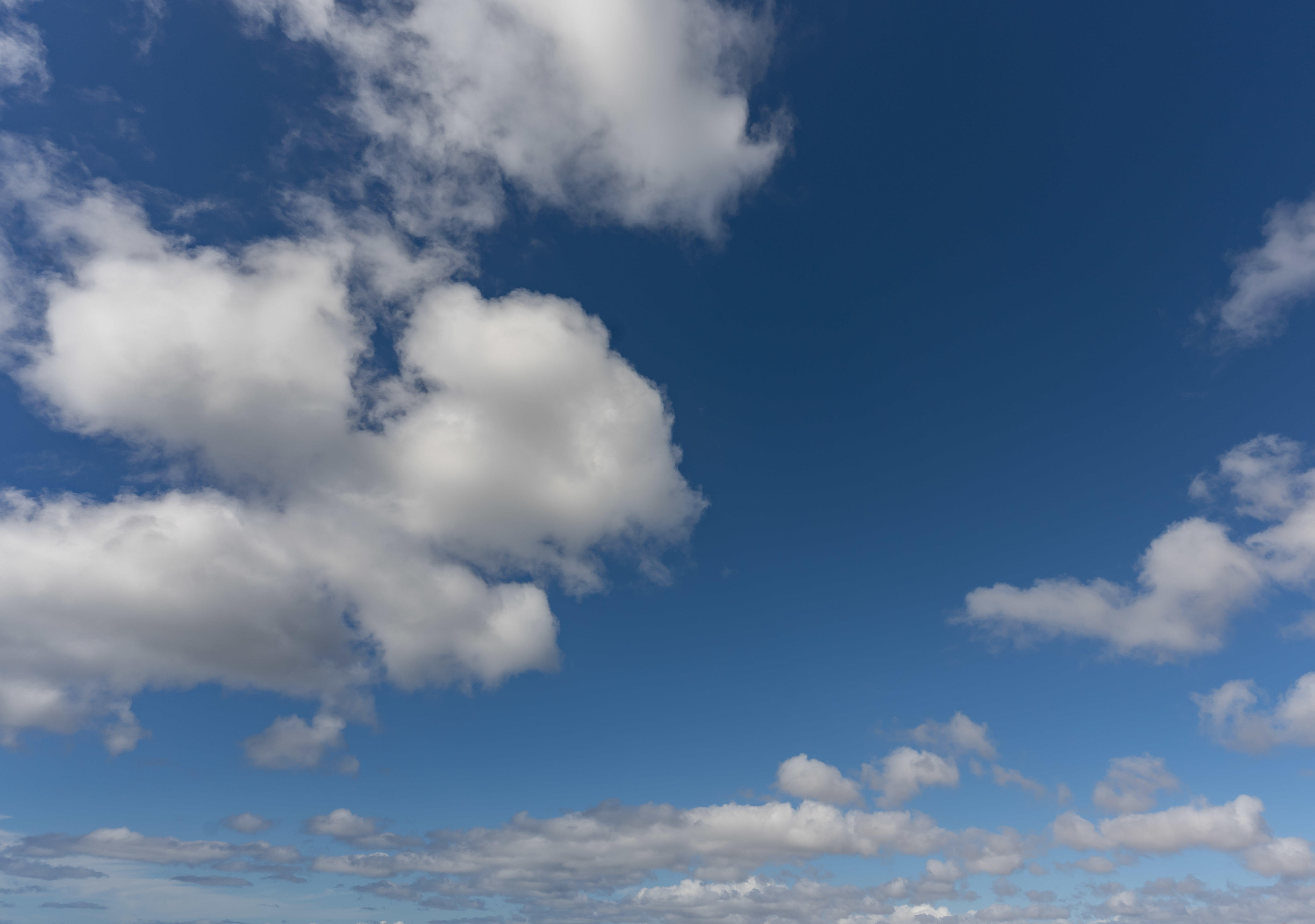 Magic of the Canaries | Luminar Marketplace(59)