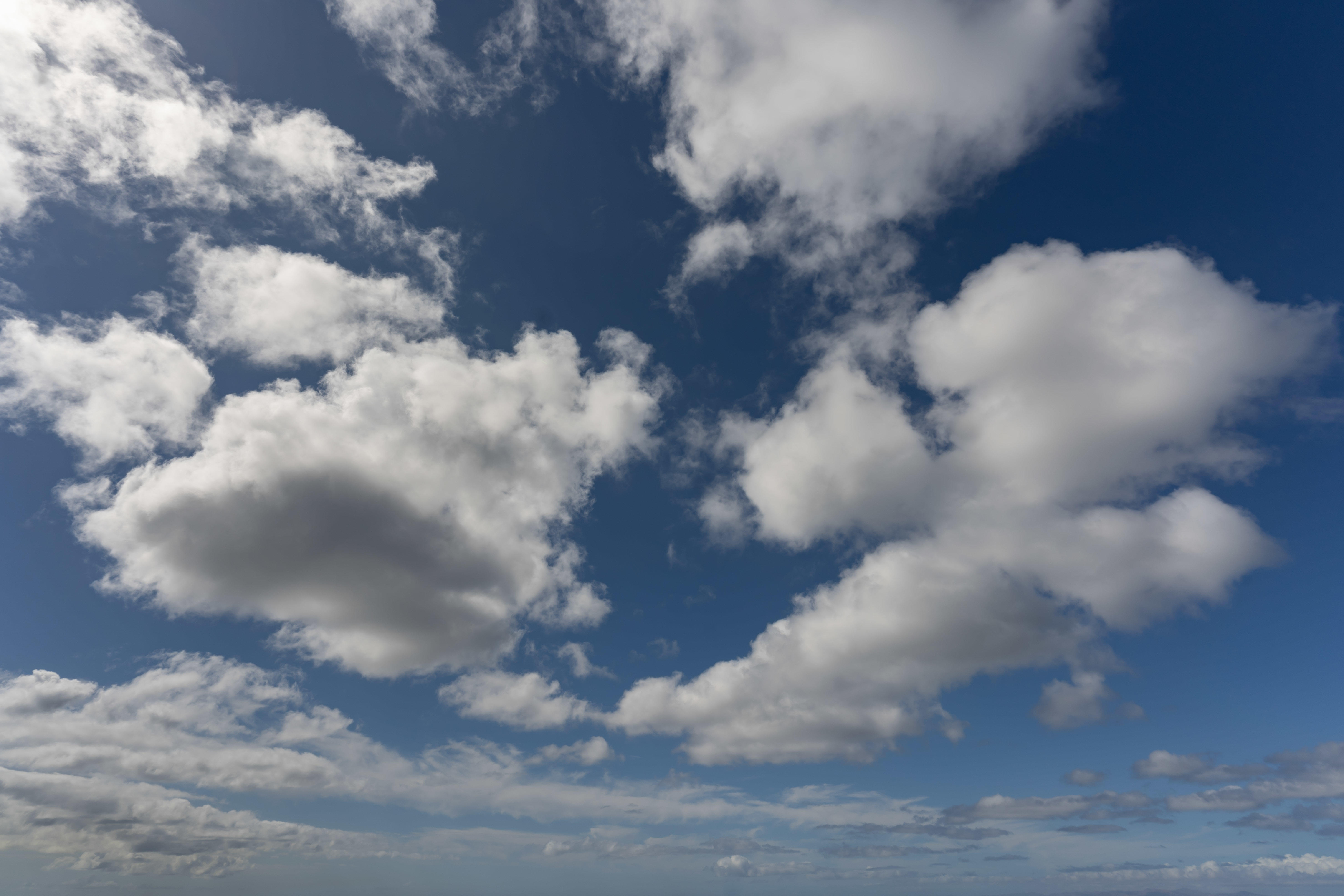 Magic of the Canaries | Luminar Marketplace(60)