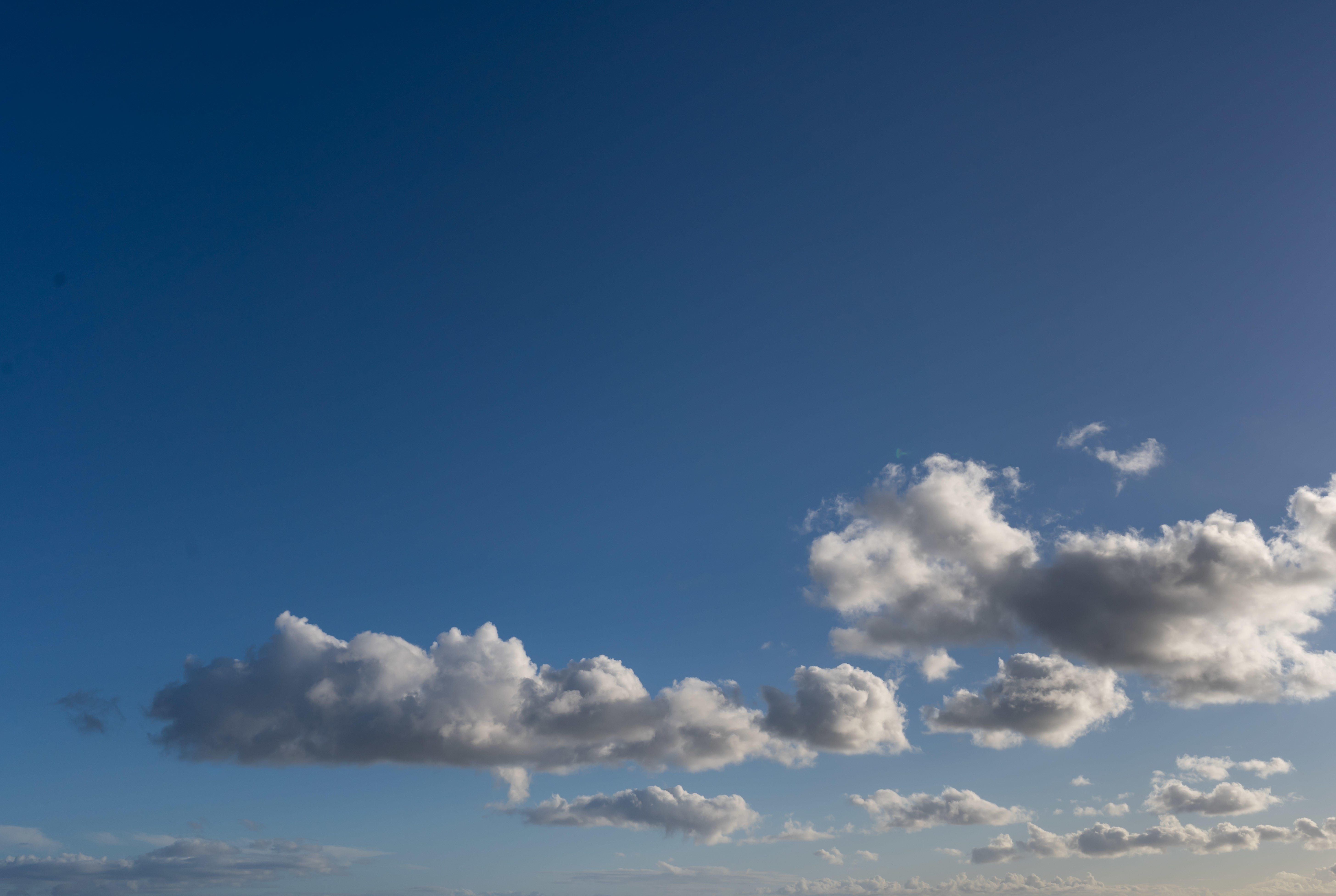Magic of the Canaries | Luminar Marketplace(61)