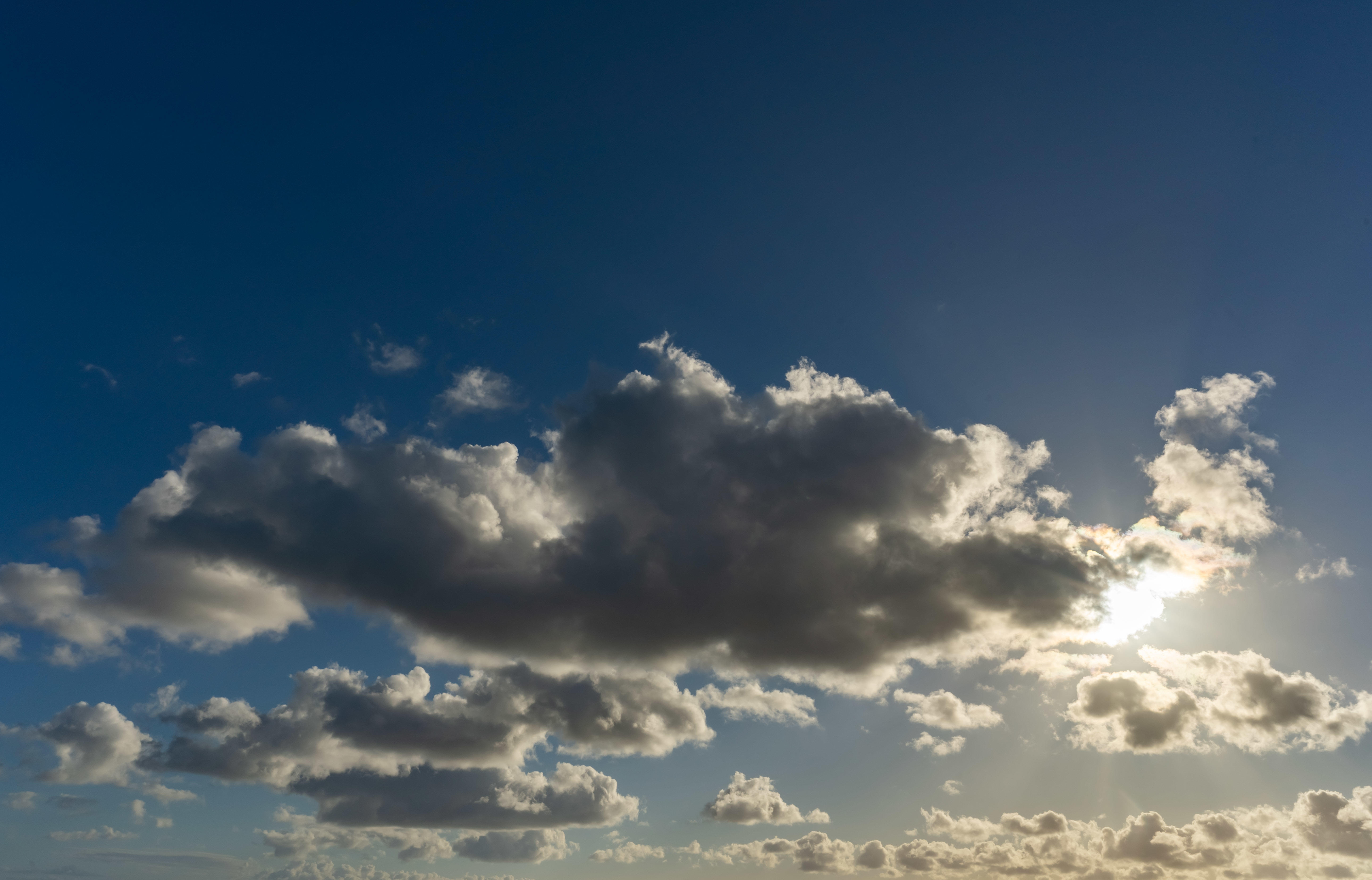 Magic of the Canaries | Luminar Marketplace(62)