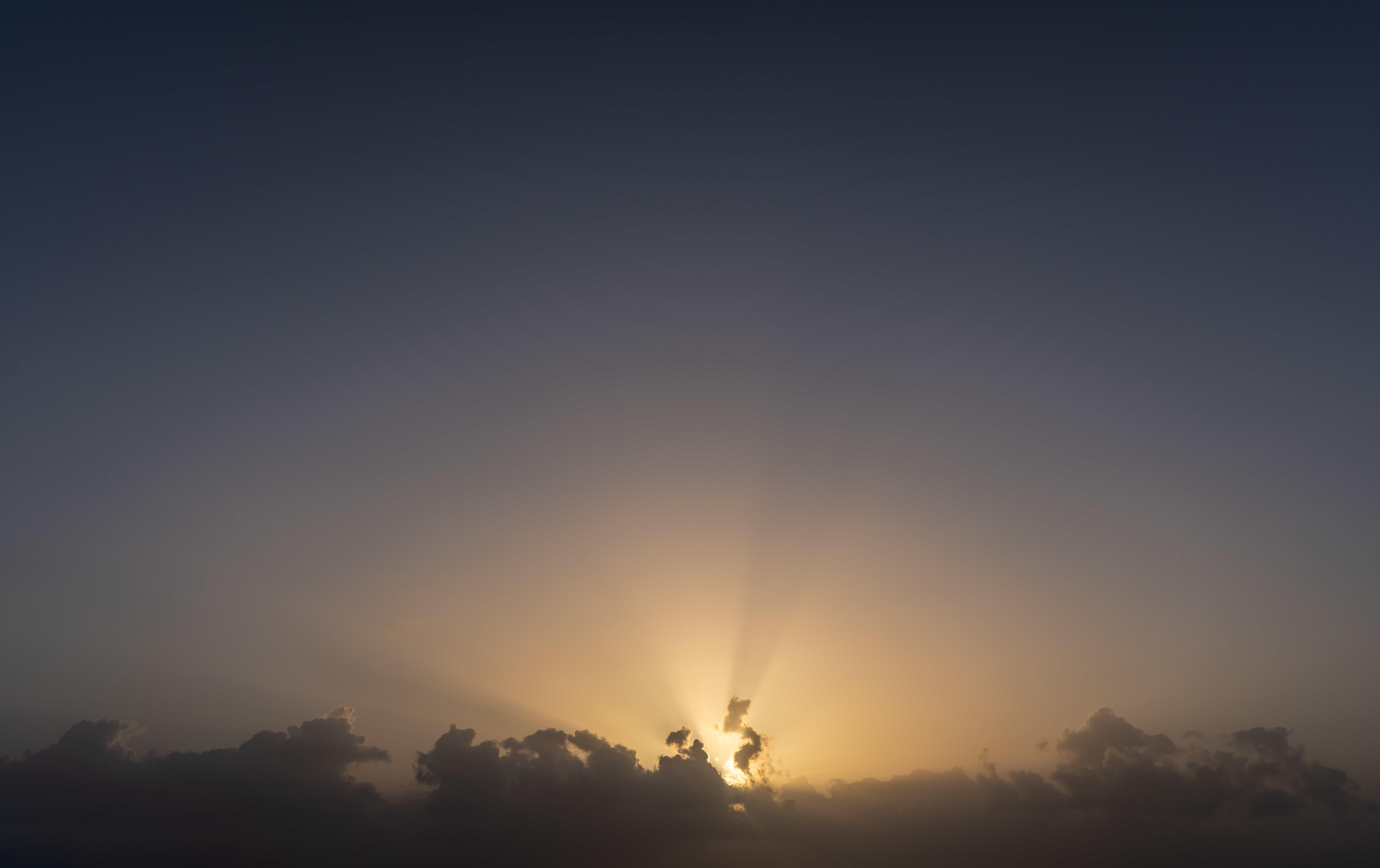 Magic of the Canaries | Luminar Marketplace(63)