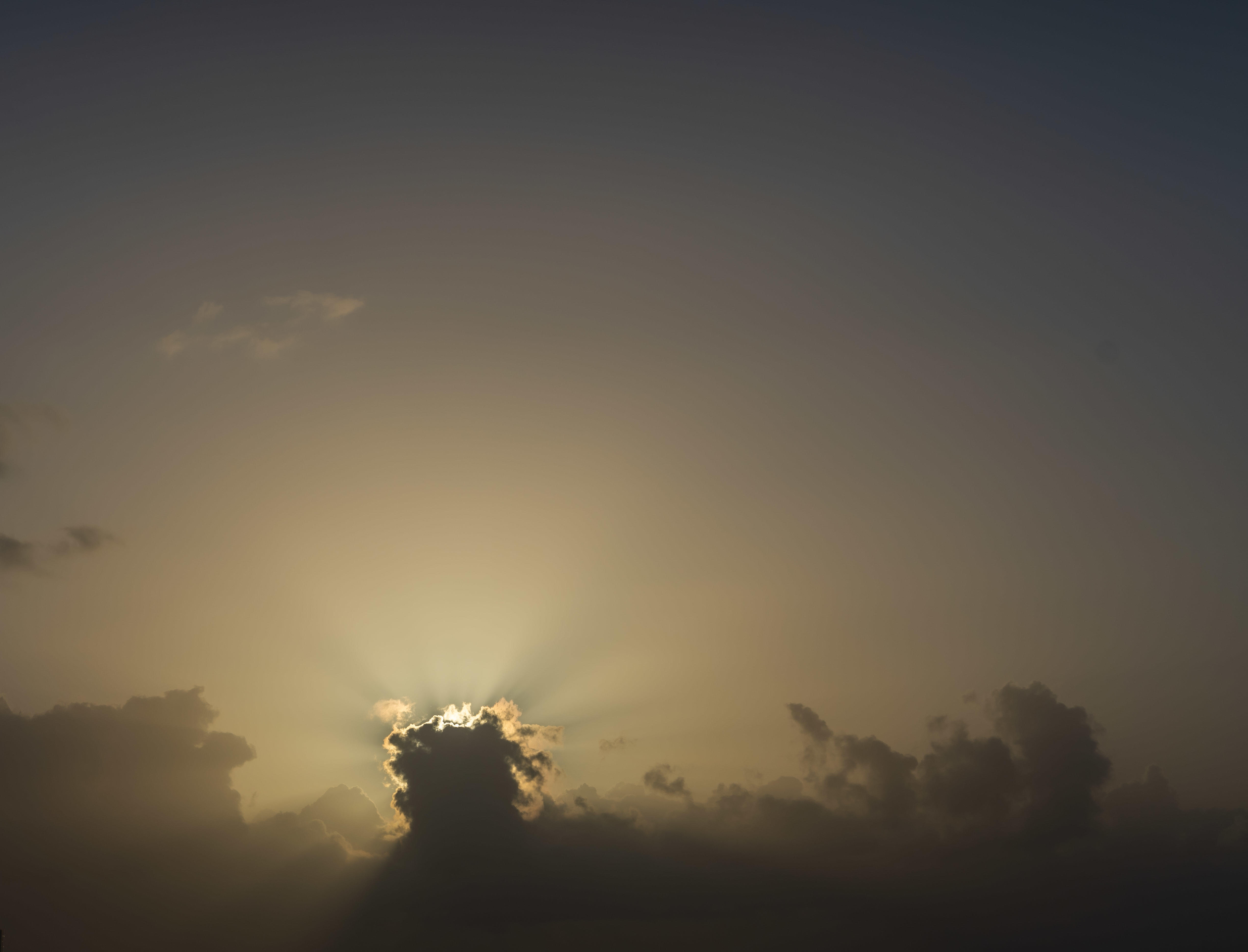 Magic of the Canaries | Luminar Marketplace(65)