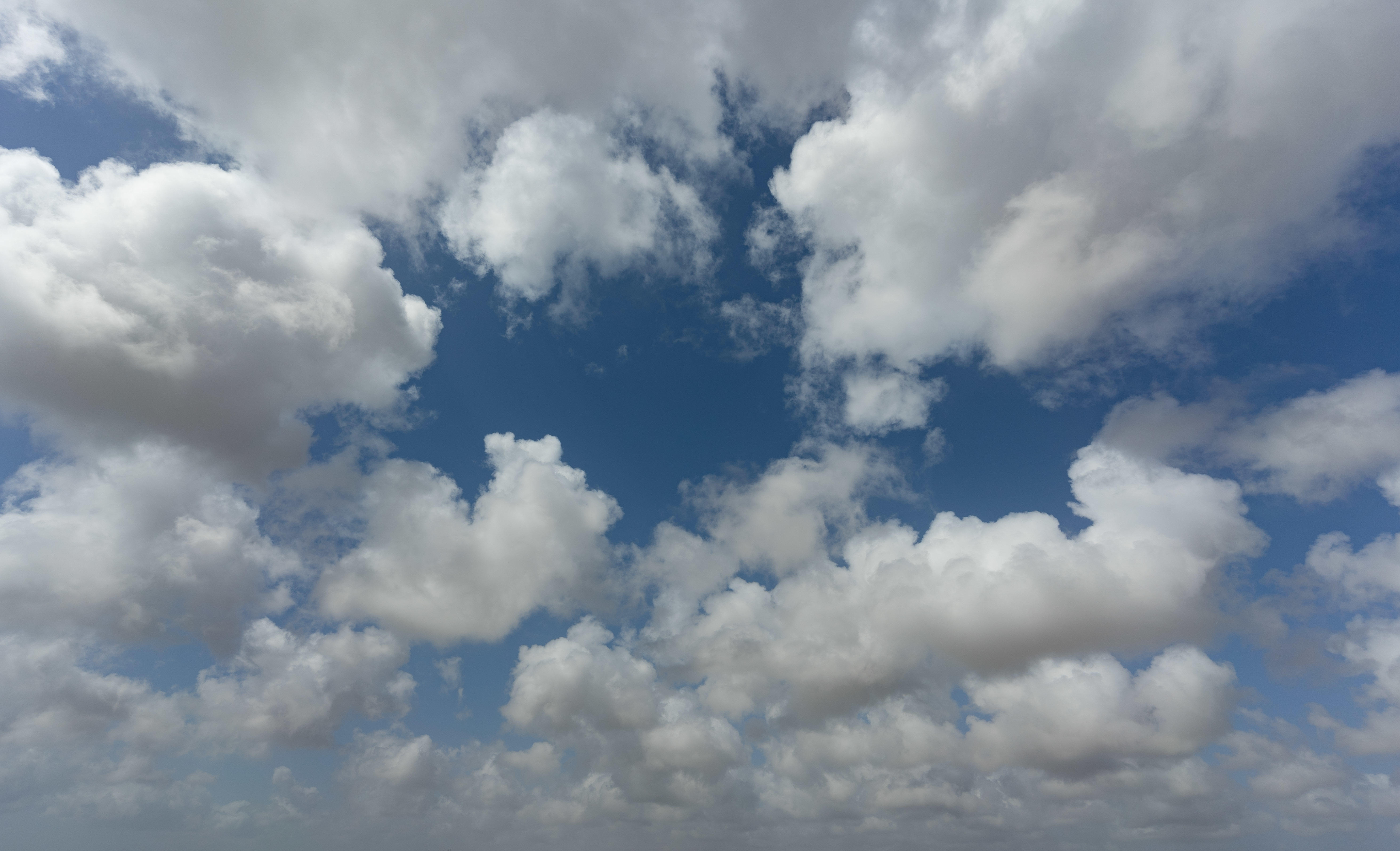 Magic of the Canaries | Luminar Marketplace(66)