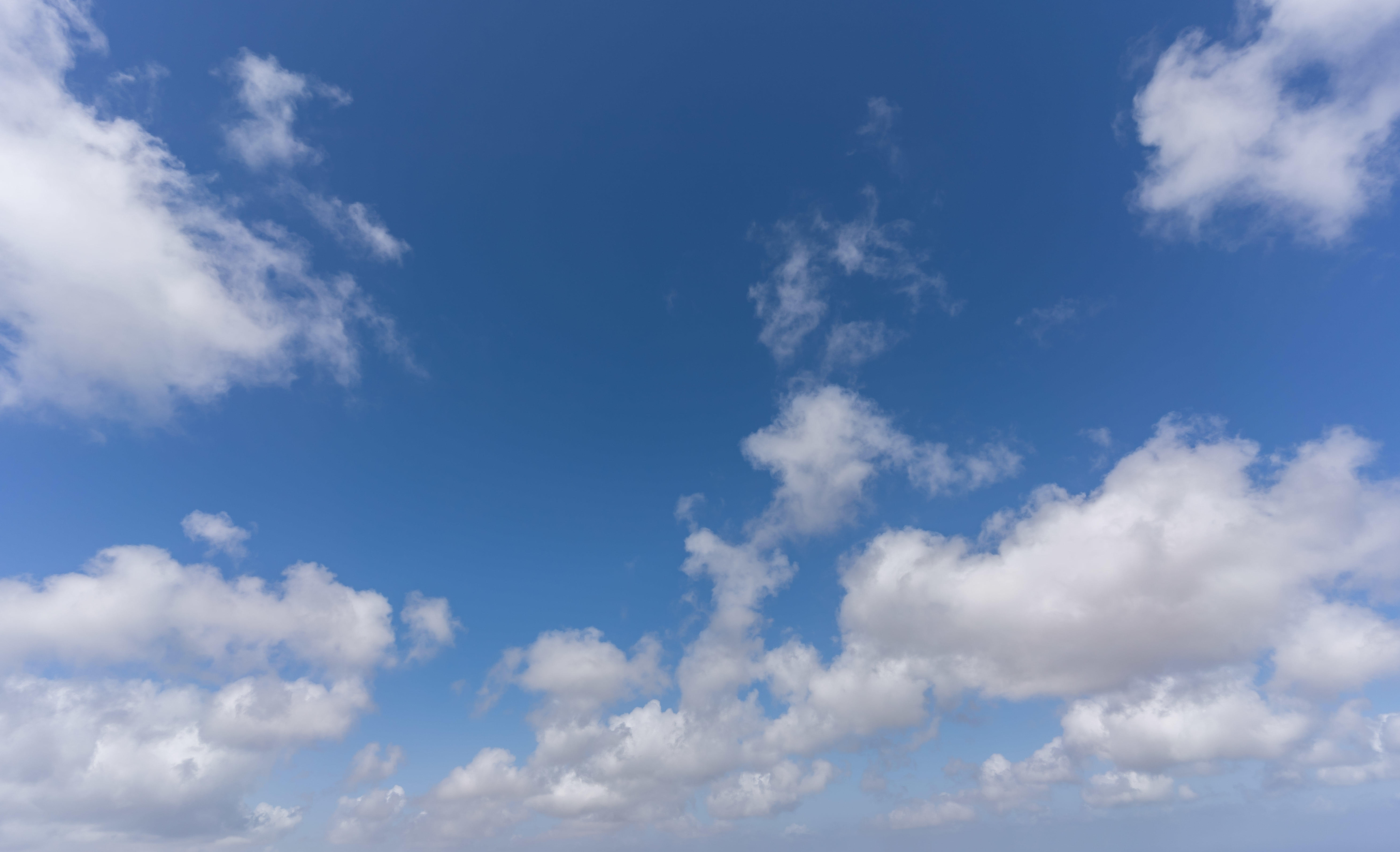 Magic of the Canaries | Luminar Marketplace(68)