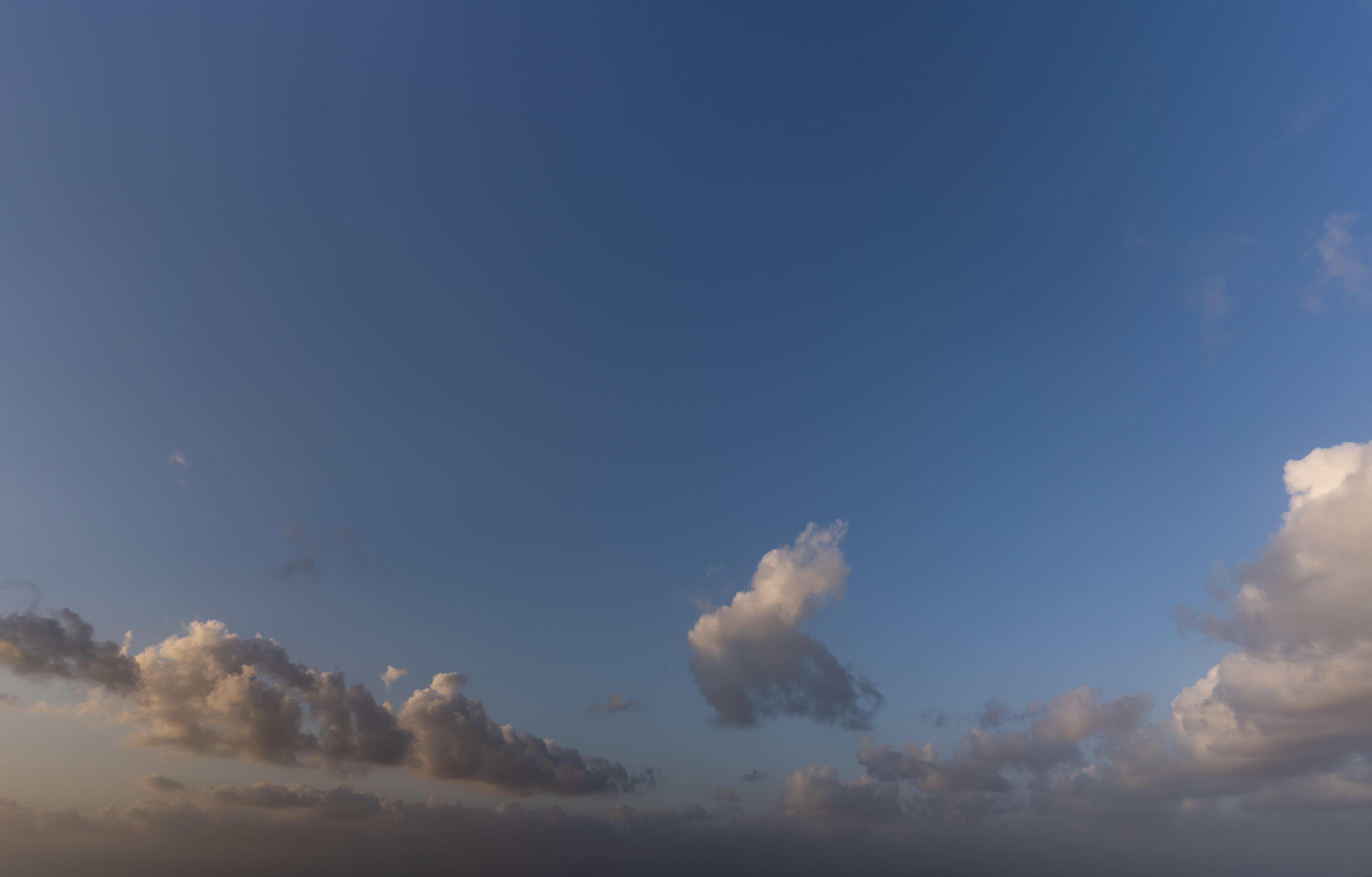 Magic of the Canaries | Luminar Marketplace(69)