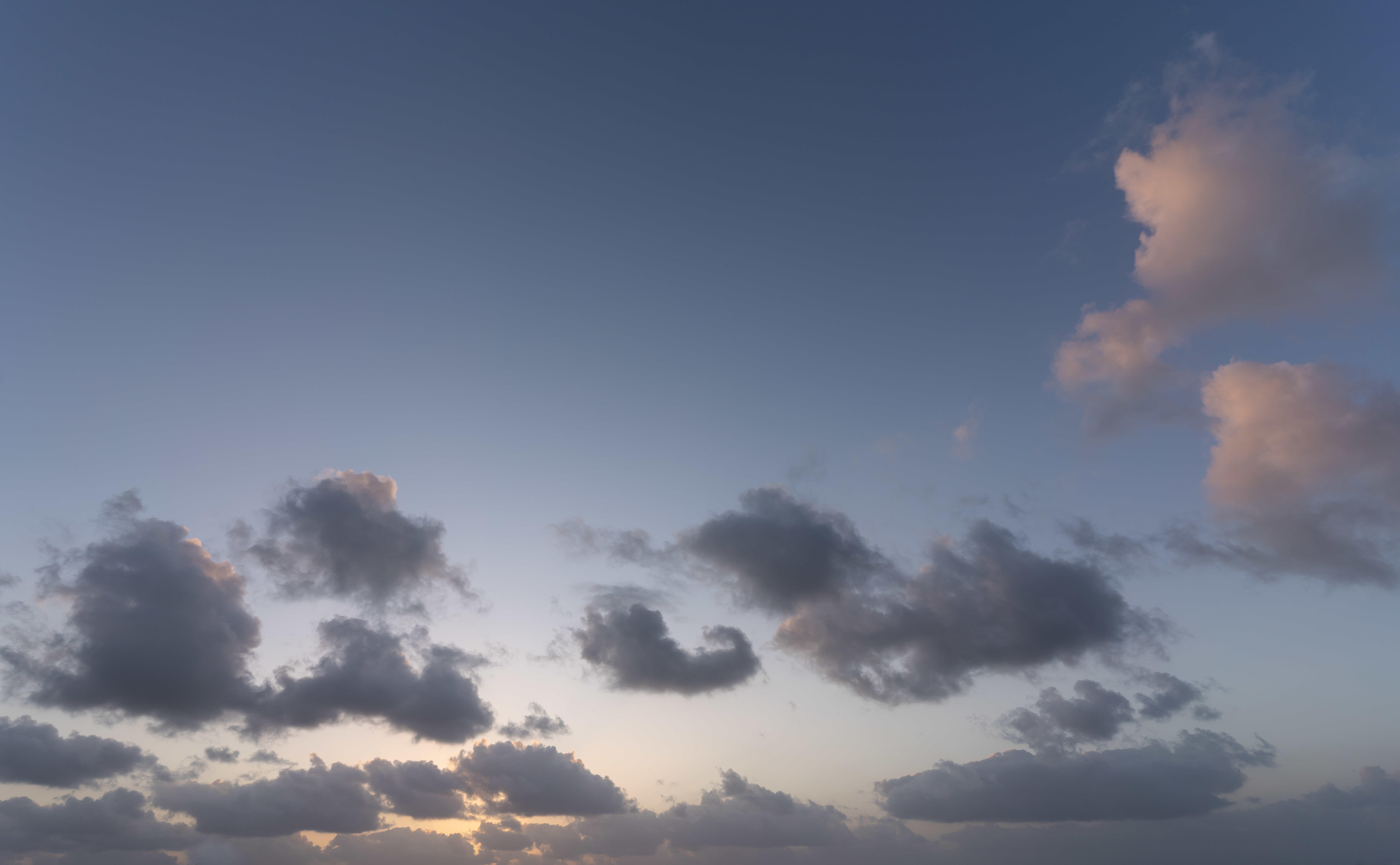 Magic of the Canaries | Luminar Marketplace(70)