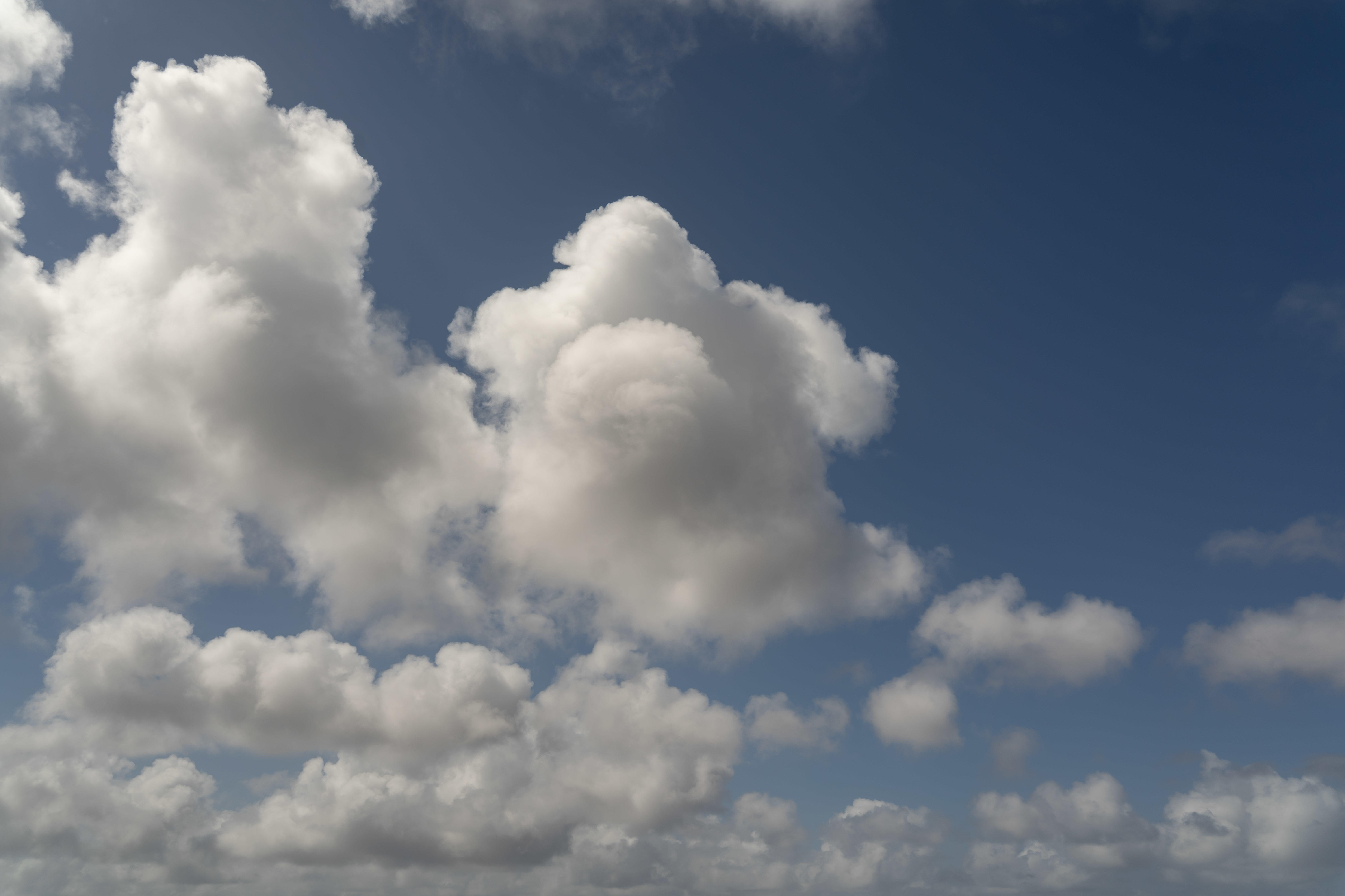 Magic of the Canaries | Luminar Marketplace(71)