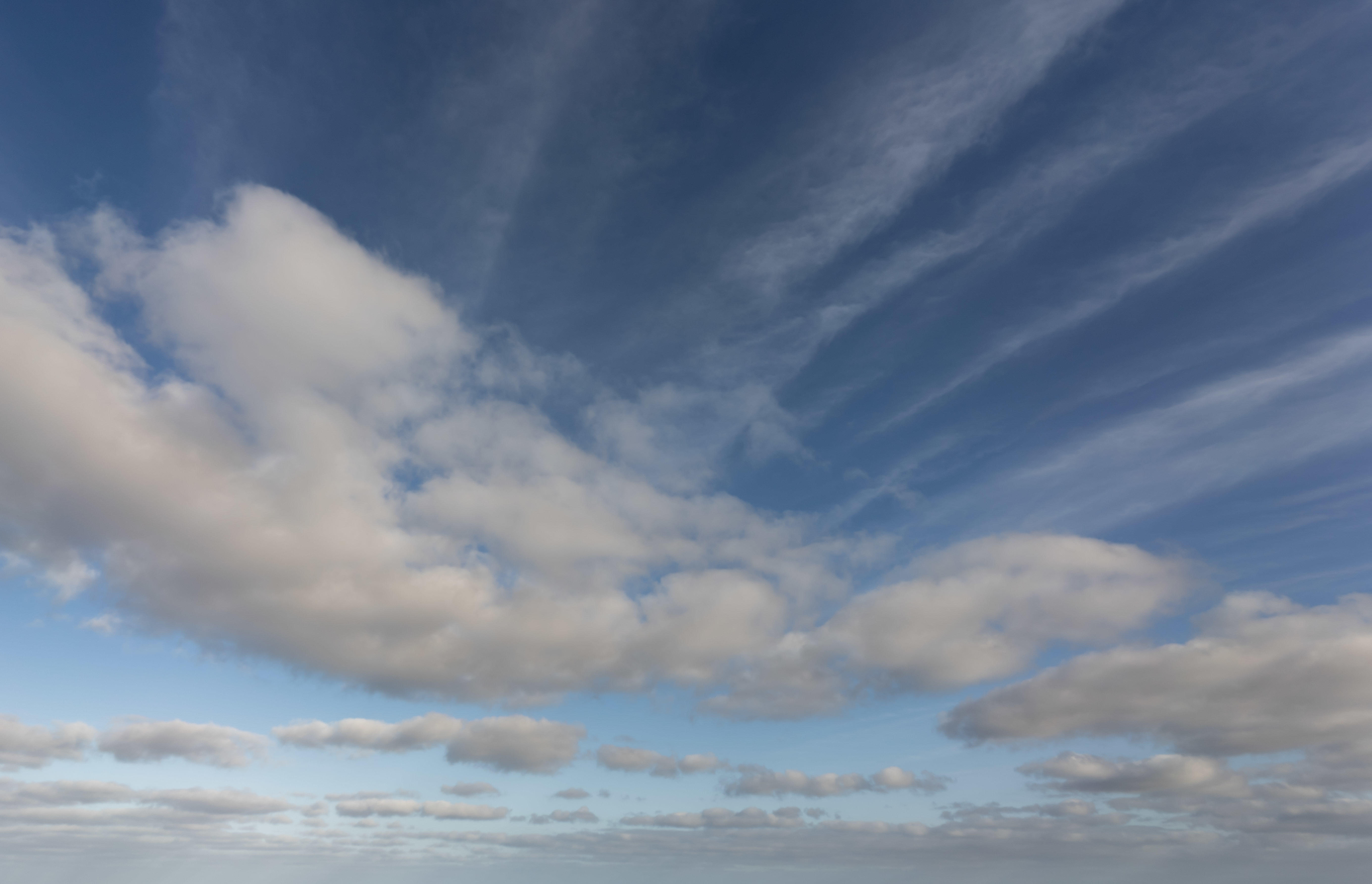 Magic of the Canaries | Luminar Marketplace(74)