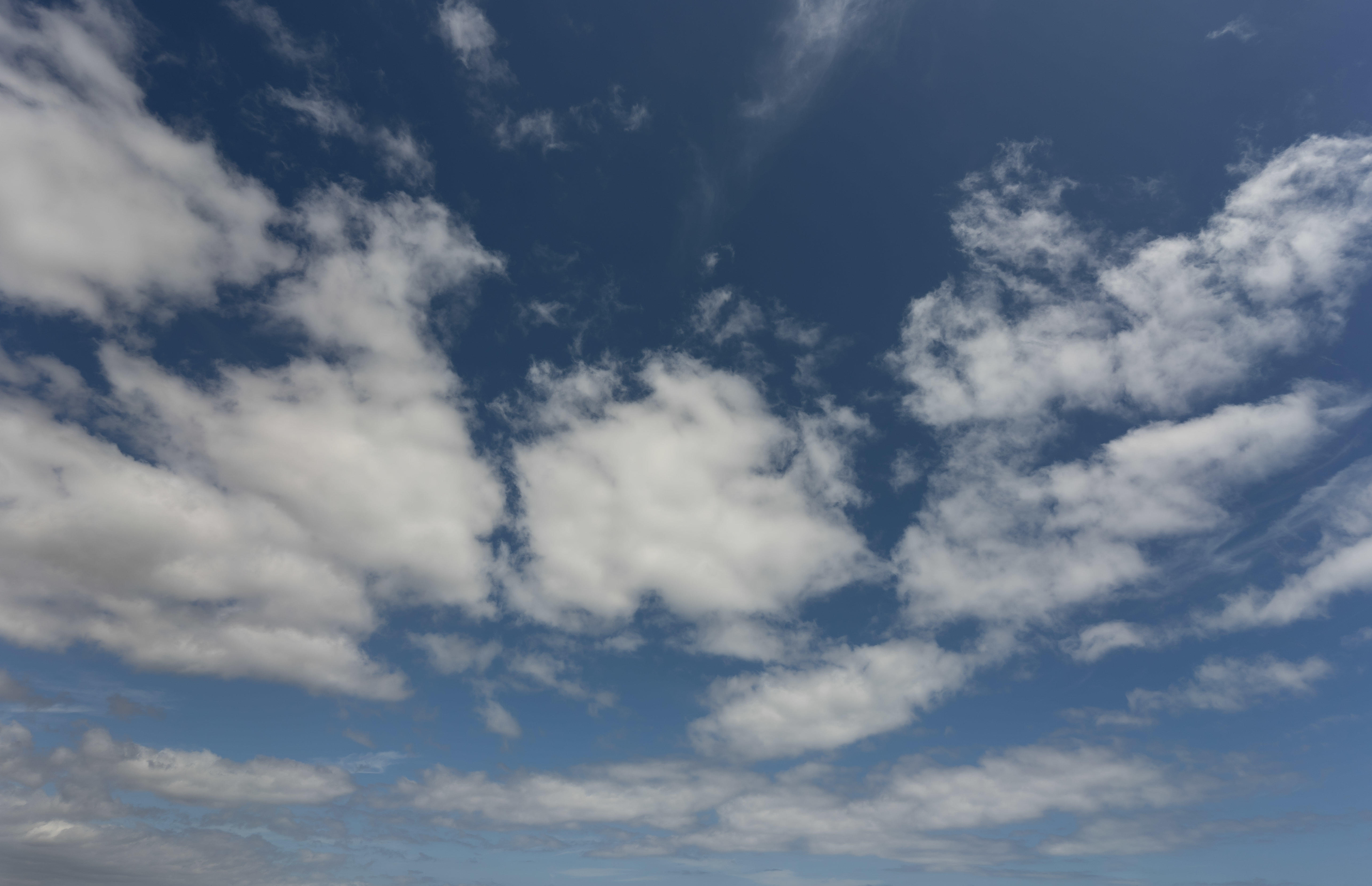 Magic of the Canaries | Luminar Marketplace(75)