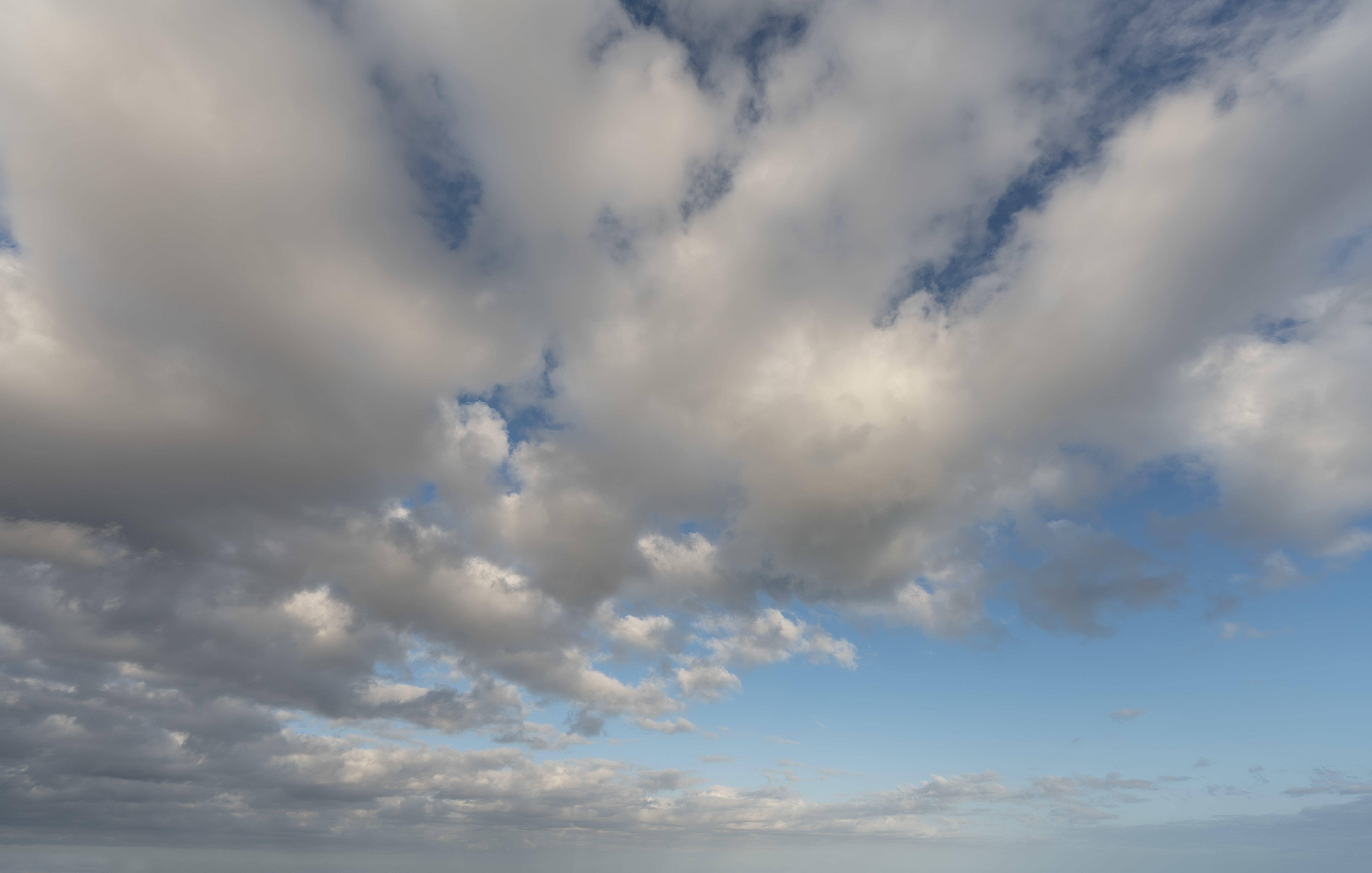 Magic of the Canaries | Luminar Marketplace(77)