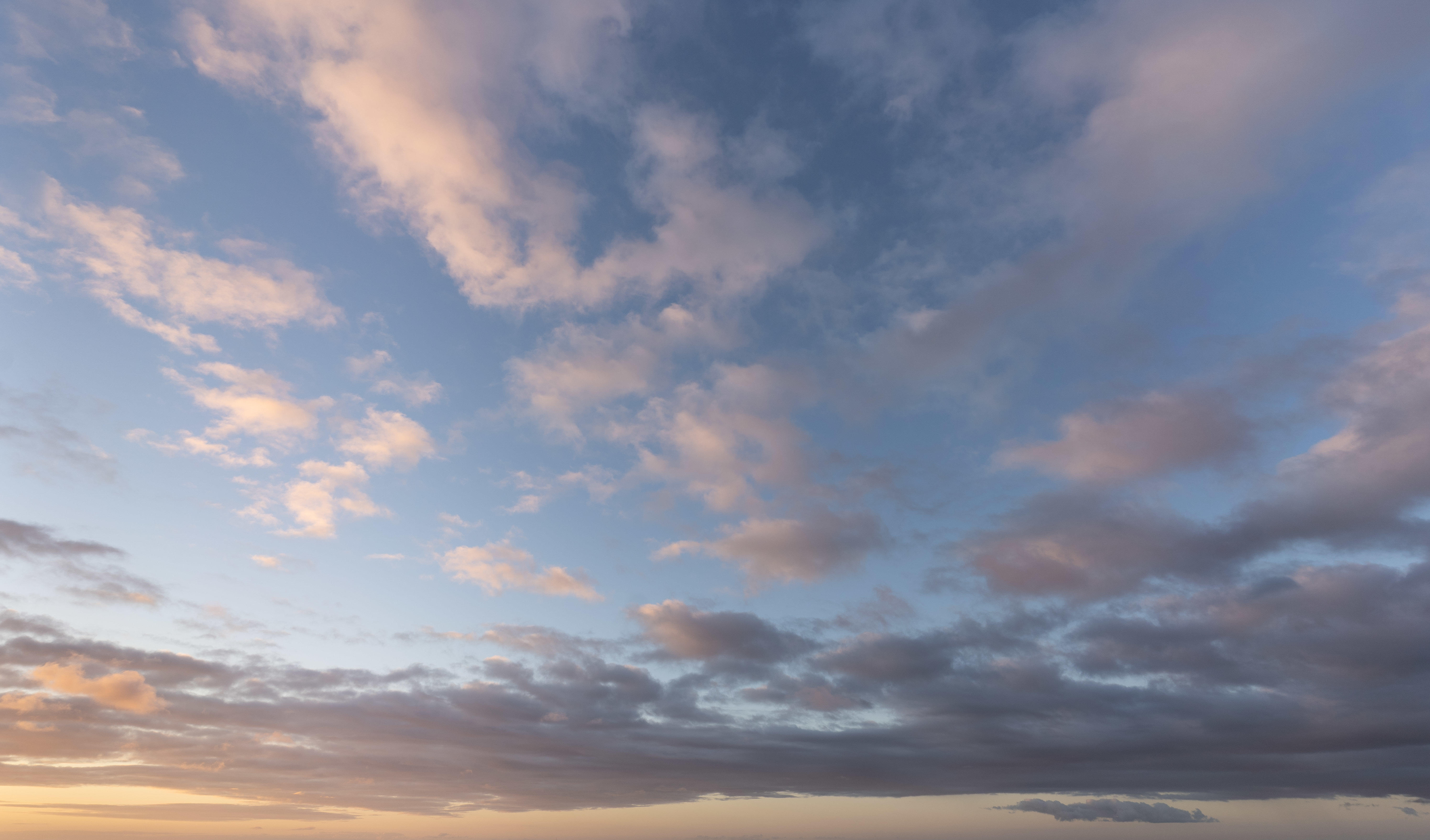 Magic of the Canaries | Luminar Marketplace(82)