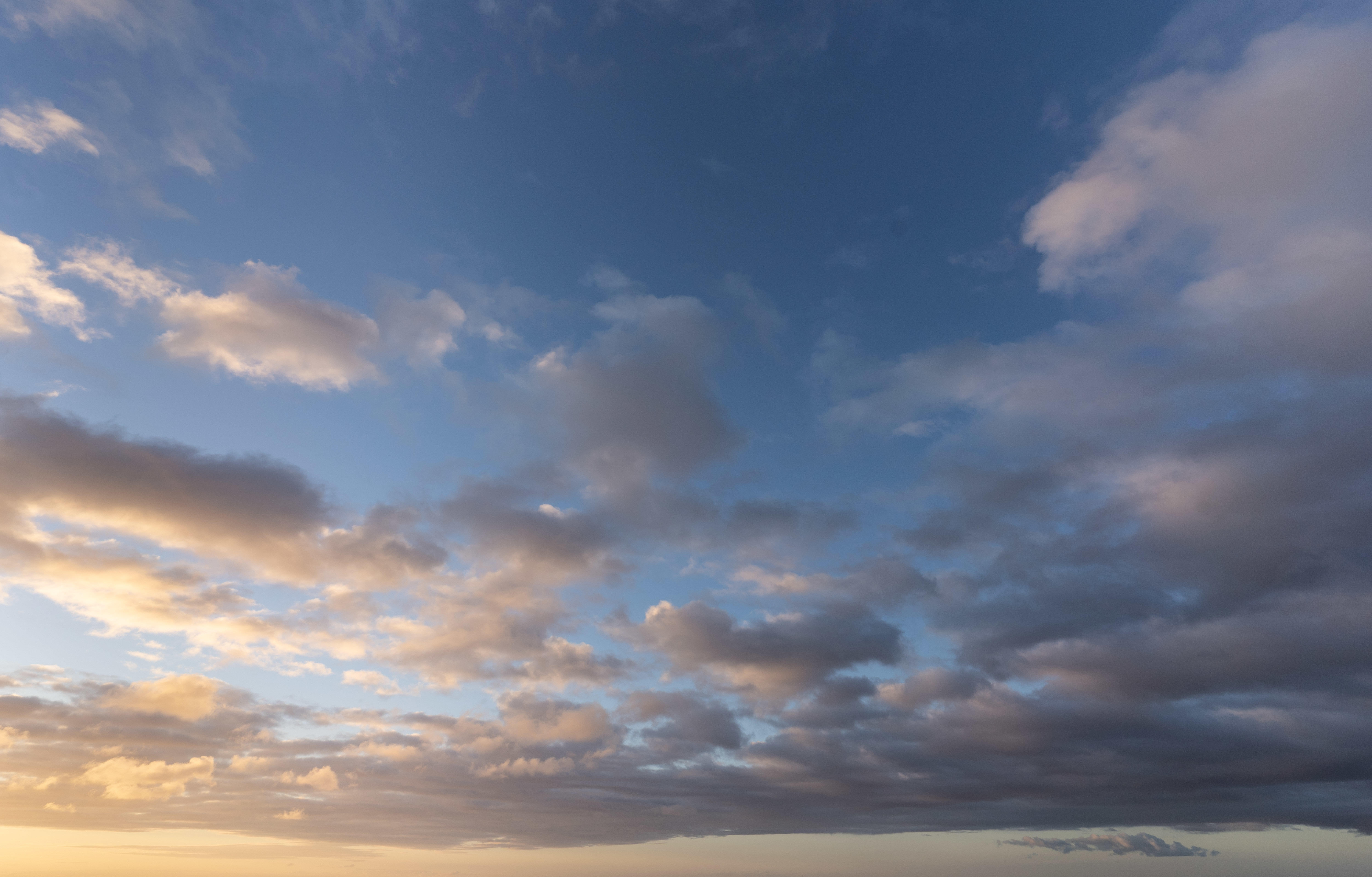 Magic of the Canaries | Luminar Marketplace(83)